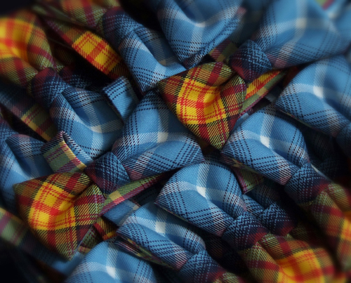 Declaration Dickie Bow